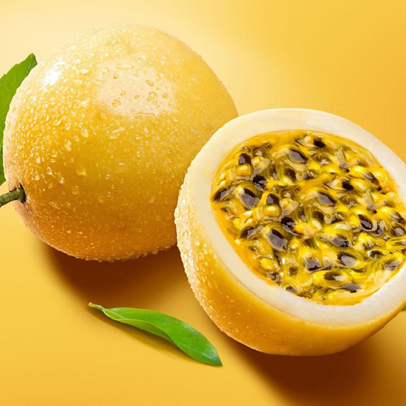 VƯỜN NHÀ NGOẠI