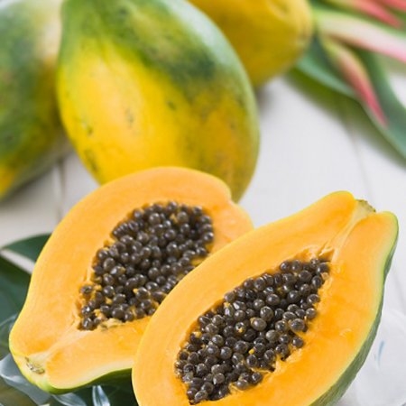 VƯỜN NHÀ NGOẠI